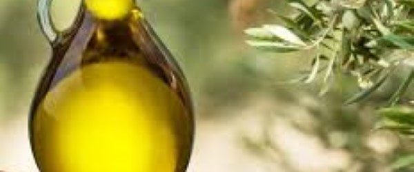 تصویر 3 از خرید و قیمت روغن زیتون سبز + فروش صادراتی